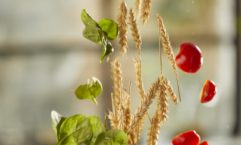 Grand'Italia Vegetarische recepten